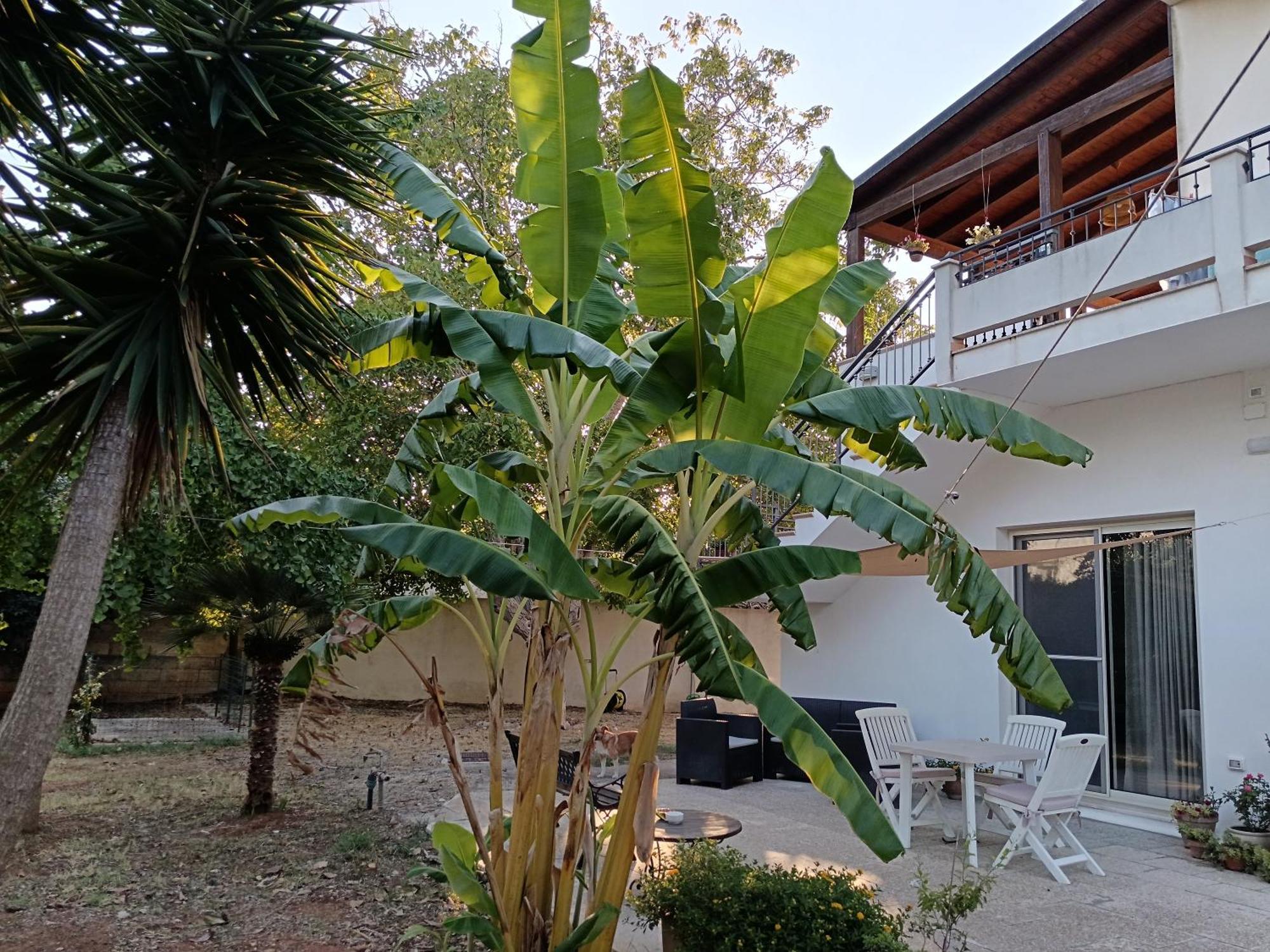 La Casa Del Noce Βίλα Ruffano Εξωτερικό φωτογραφία